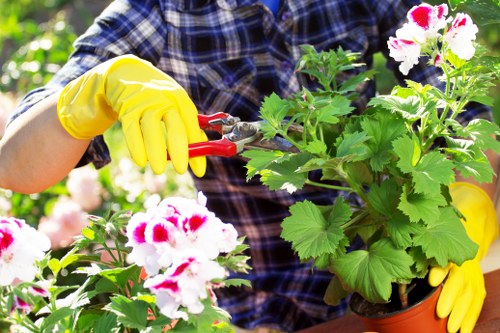 Professional landscaper designing a garden in Brixton