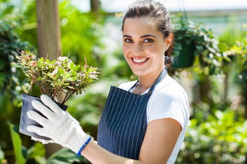 Professional garden clearance tools and equipment