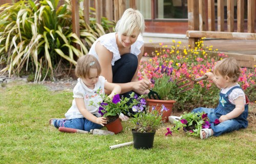 Selection of native plants ideal for Brixton garden design
