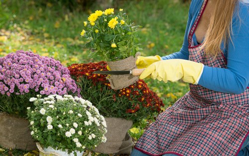 Seasonal garden maintenance in Brixton