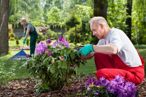 Tools for effective lawn mowing