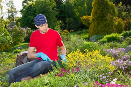 Eco-friendly lawn care practices