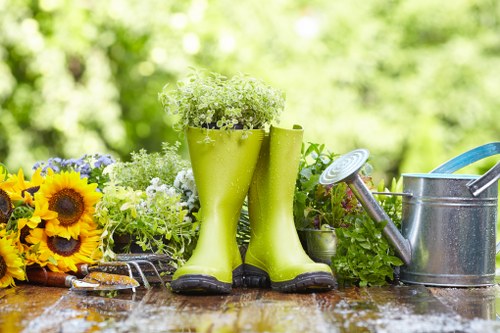 Native plants and sustainable landscaping trends in Brixton