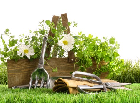 Eco-friendly decking materials selection