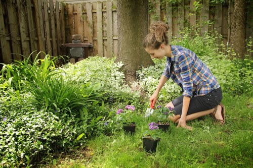 Professional lawn care service in Brixton